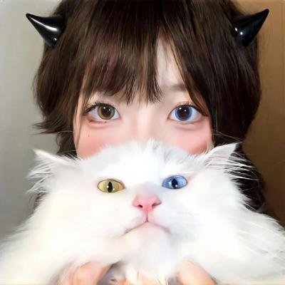 与鸭共舞