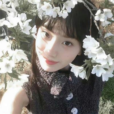 高清精选